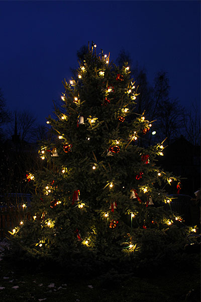 Adventseinsingen 2013